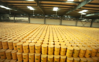 mango pure 3